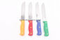 Most popular in amazon stainless steel kitchen knife with pom handle vegetable sushi cooking boning kitchen knife supplier