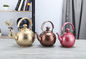 1L,1.5L,2L Best selling pink color whistling kettle with filter stainless steel new design tea coffee pot with infuser supplier